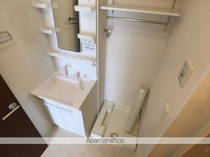 シャイン[1R/28.53m2]の洗面所