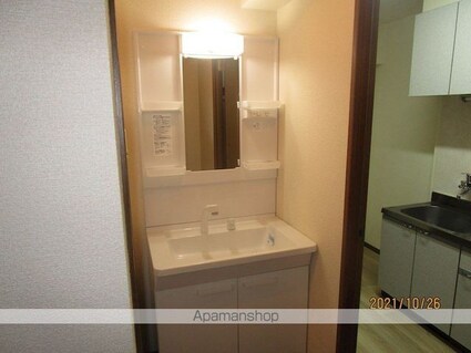 サリエンテ代官山Ⅱ[1K/28.8m2]の洗面所