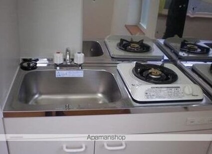 ライフピアマノワール[1R/10.5m2]のキッチン