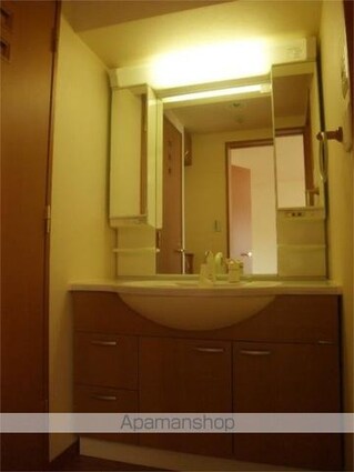 ルーブル学芸大学五番館[1R/30.75m2]の洗面所