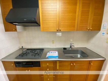 アルファガーデン番町[3LDK/75.48m2]のキッチン