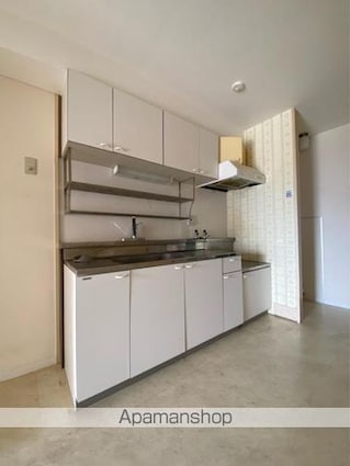 桜町ＶＩＰマンション５０２[3DK/49.46m2]のキッチン