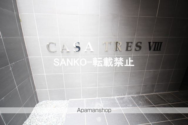 カサトレスVIIIのその他写真