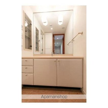 西新宿パークサイドタワー[2LDK/71.97m2]の洗面所