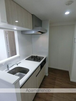 アイル　グランデ押上イースト[1LDK/41.31m2]の内装4