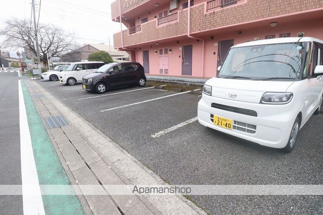 アルメリアのその他写真