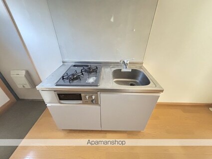 キャニオンベリー[1R/22m2]のキッチン