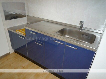 シャトレー参番館[1R/29m2]のキッチン