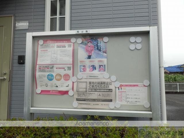 サンフラワーのその他写真