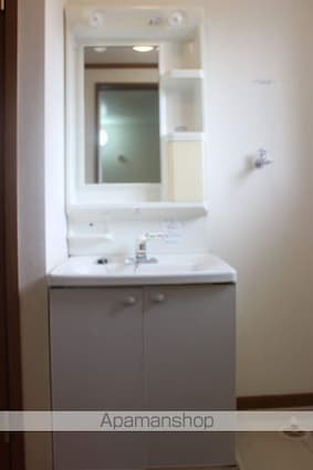 コージーハウス石井Ａ[2LDK/58.12m2]の洗面所