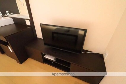 レオネクストＡＤＡＭＡＮＴⅢ[1R/27.8m2]の内装7