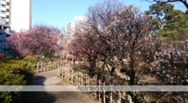 ウィンベルソロ蒲田第2の周辺写真