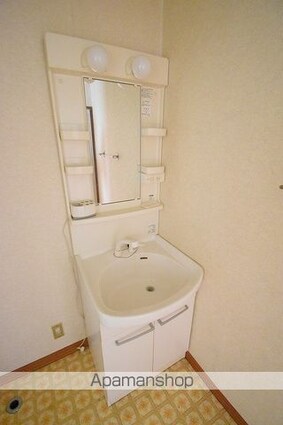 埼玉県八潮市八潮８丁目[2DK/41.29m2]の洗面所