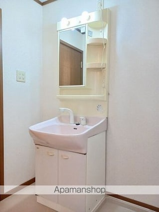 リバーハウスあいおい[2LDK/51.67m2]の洗面所