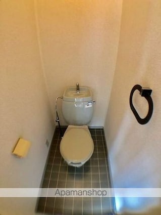 ドゥラシャンスⅡ・Ⅲ[2LDK/52.84m2]のトイレ