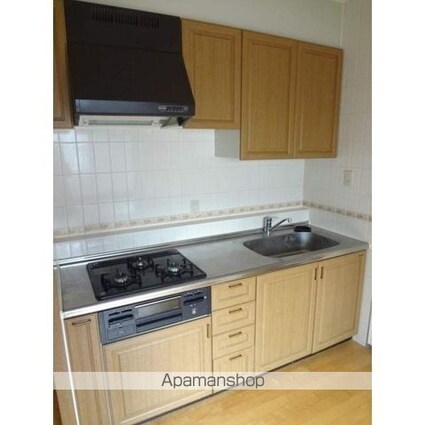 東京都新宿区余丁町[2SDK/50.05m2]のキッチン1