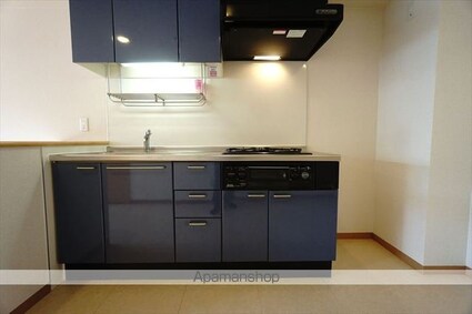 Ｇｒａｍｅｒｃｙ　Ｓｈｉｒａｋａｗａ　Ｋｏｅｎ[1LDK/46.64m2]のキッチン