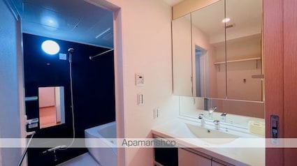 ロイヤルパークスリバーサイド[1LDK/60.97m2]の洗面所