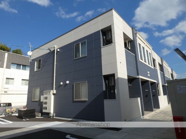 シーダー初生