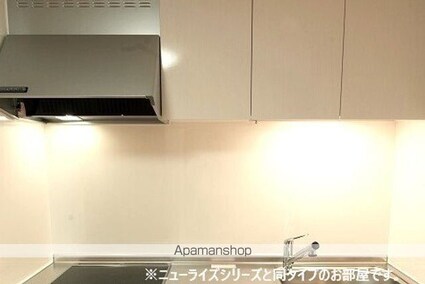 リッチェ・ツリー[2LDK/59.55m2]のキッチン