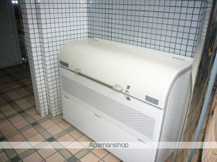 ウィンベル新宿百人町[1R/13.65m2]の共用部1