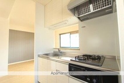 フェリオ新西[1LDK/42.2m2]のキッチン