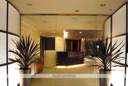 レジディアタワー麻布十番[1R/44.26m2]の共用部9