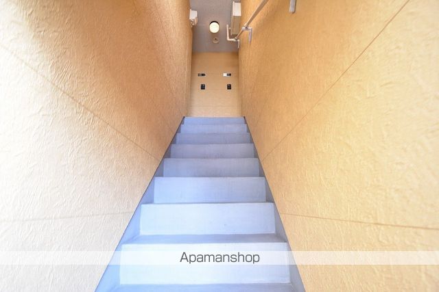 バルーンフラワーのその他写真