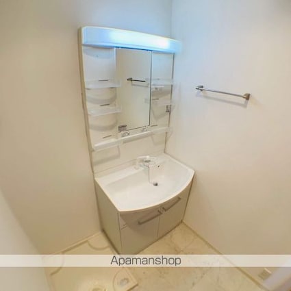 ザ・テラス伍番館[2DK/53.98m2]の洗面所