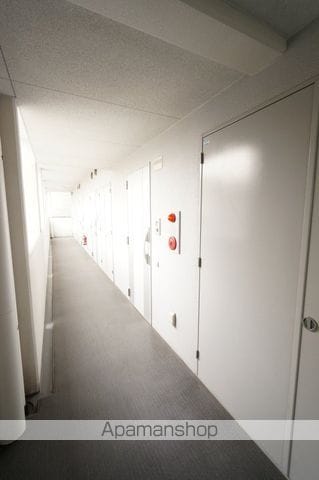 カンナビーノのその他写真