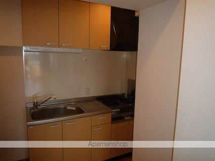 アフロディテ[1K/29.39m2]のキッチン