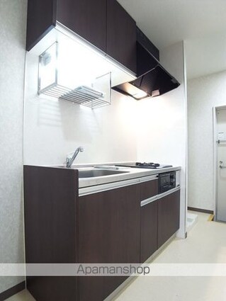 リリックコートハイビスカス[1K/23.75m2]のキッチン