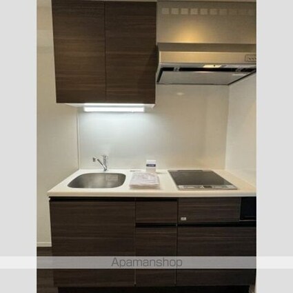 フロンティア新宿タワー[1K/30.37m2]のキッチン