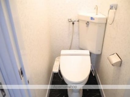 石井ハイツ[3DK/53.55m2]のトイレ