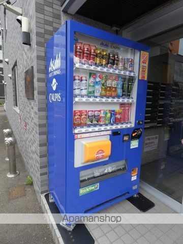 カノントヨヒラのその他写真
