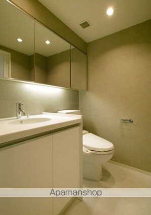 カスタリア麻布十番[1LDK/42.84m2]のその他内装5