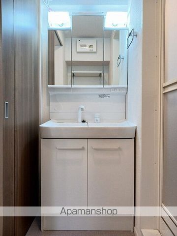 ウィステリア・メドウ[1LDK/39.17m2]の洗面所