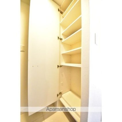 カスタリア尾山台[1R/28.93m2]の収納