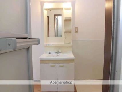 ユニオンシティ[2K/39.66m2]の洗面所