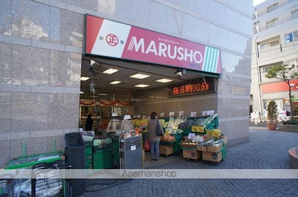 トーシンハイム新宿[1R/19.6m2]の周辺12