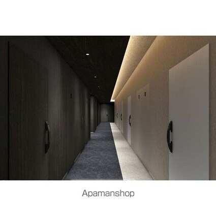 Ｂｒｉｌｌｉａｎｔ　Ｖｉｅｗ　Ｃｅｎｔｒａｌ　Ｐａｒｋ[1K/29.23m2]のエントランス1