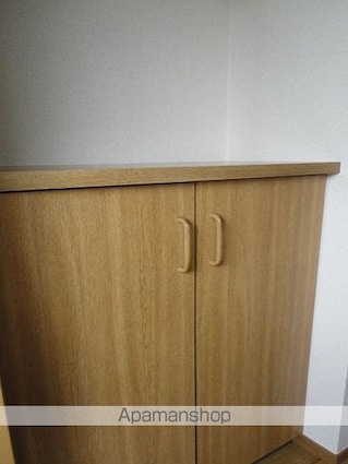 プリティーハウスＢ棟[2DK/40.57m2]の収納