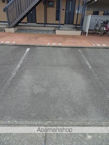 フィニックスCのその他写真