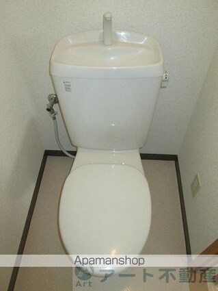 サザンコートⅥ[2DK/41.85m2]のトイレ