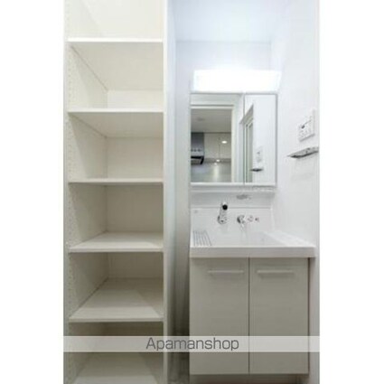 レビスタ白金高輪[1K/25.18m2]の洗面所