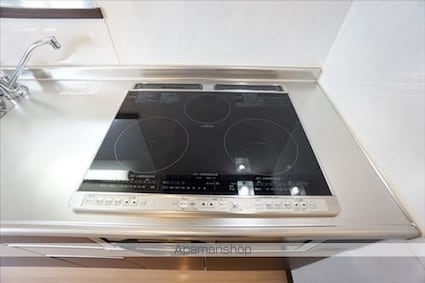 Ｒｉｖｉｅｒｅ（リヴィエール）[1LDK/48.84m2]の内装5