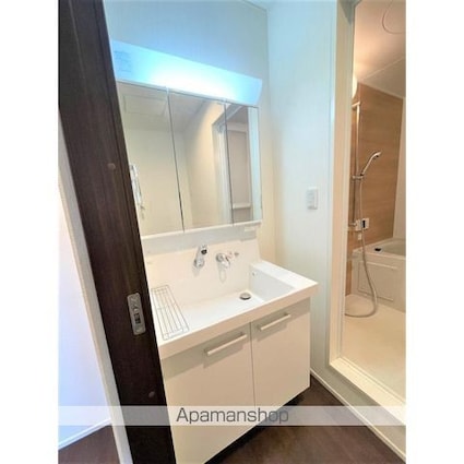 ルミエール　ドゥペ[1LDK/41.04m2]の洗面所