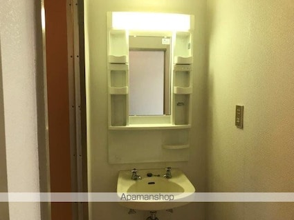 湖琴マンション[2DK/40m2]の洗面所