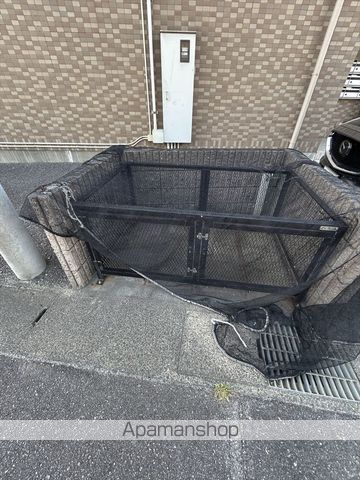 ロイヤルサルビアのその他写真