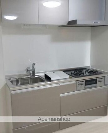 レジデンス新宿[2LDK/58.62m2]のキッチン